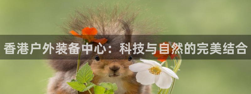 新宝gg奇迹