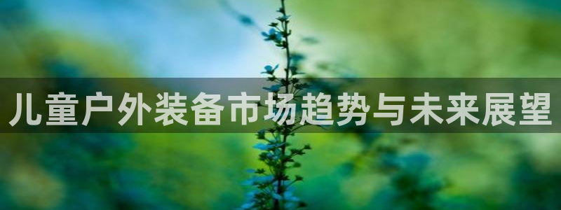 新宝gg登录新