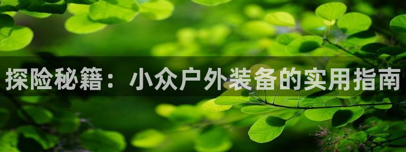 新宝gg代理