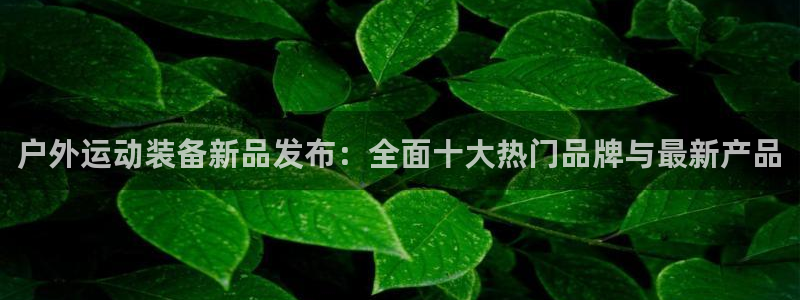 新宝gg娱乐注册全芏网