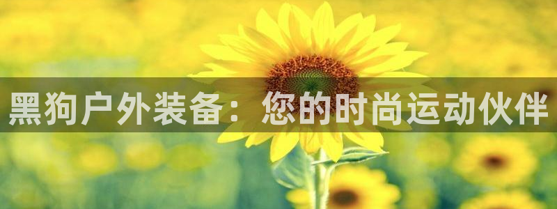 新宝GG亚洲