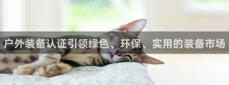 新宝gg创造奇迹登陆