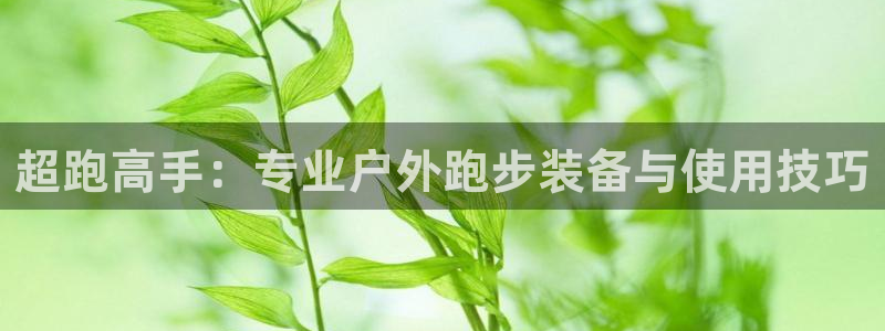 新宝gg龙虎规则