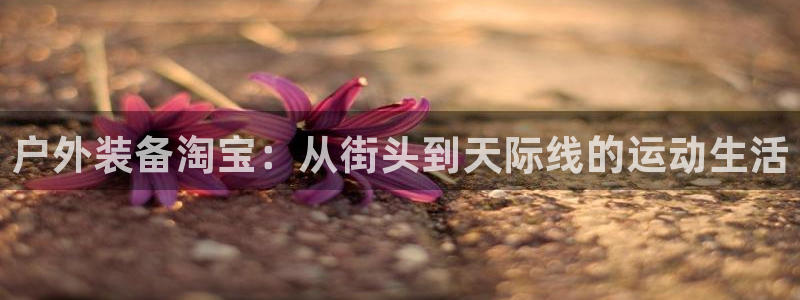 新宝gg app