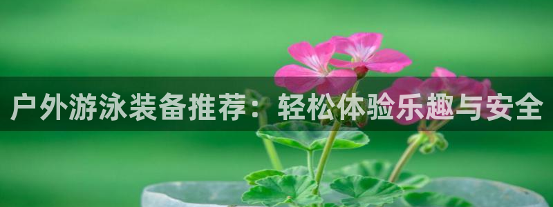 新宝gg招商致胜团队