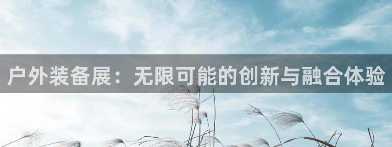 新宝gg样