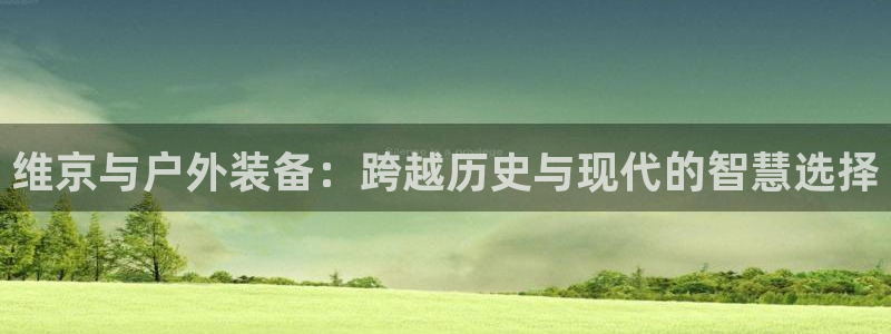 旧版新宝GG