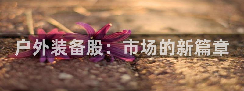 新宝gg开好