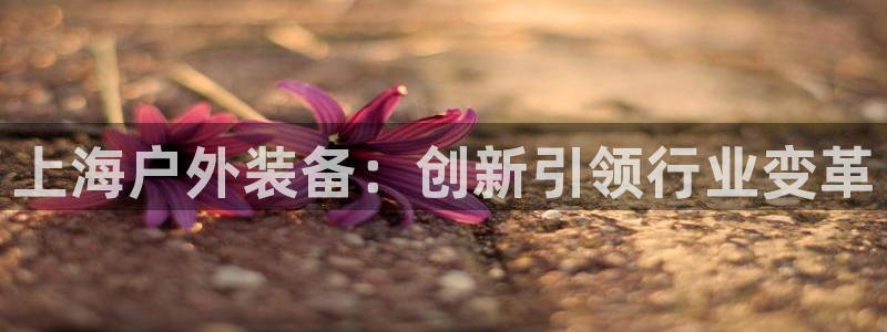 新宝gg主管48527