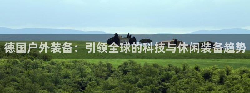 新宝gg图片