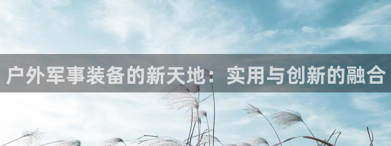 下载新宝gg怎么下载