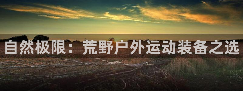 新宝gg介绍
