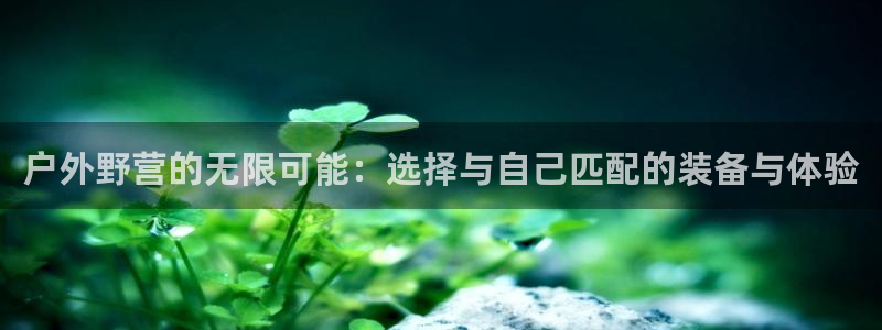 新宝gg游戏平台