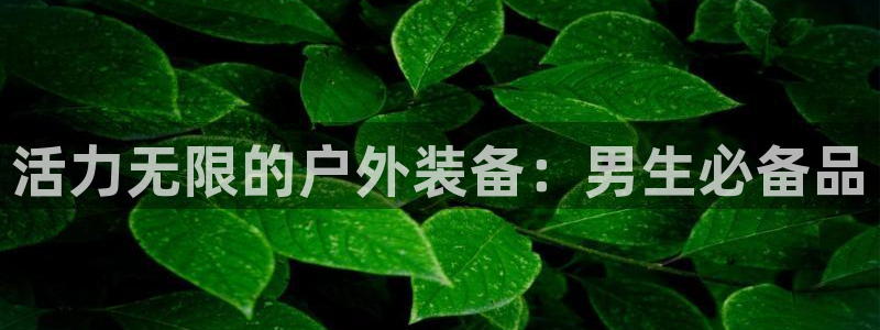 新宝gg吧