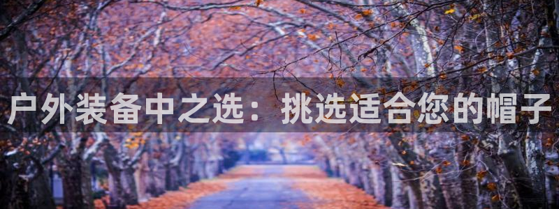 新宝gg龙腾