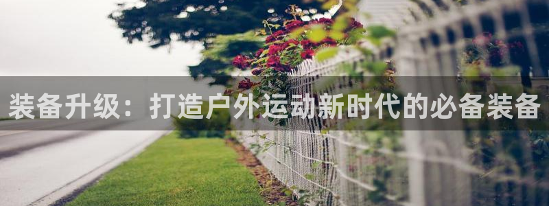 新宝哥gg