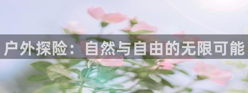 新宝gg赚钱