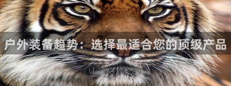 新宝给gg