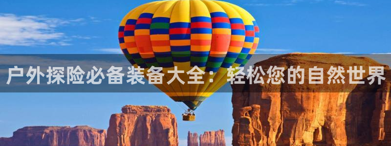 新宝gg属于