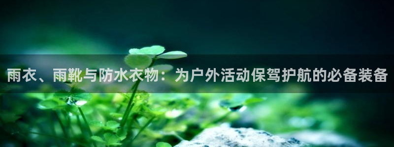 新宝gg官方主管