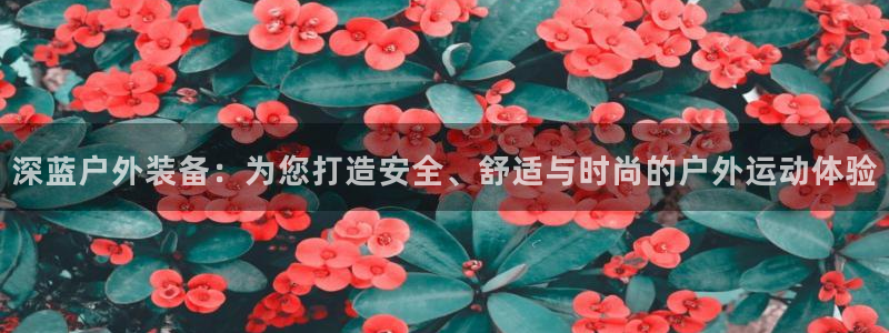 新宝gg怎么做代理