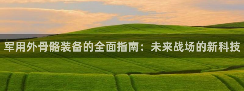 新宝gg网站