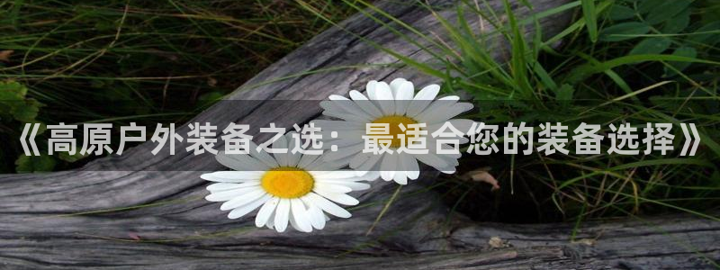 新宝gg挂机软件下载