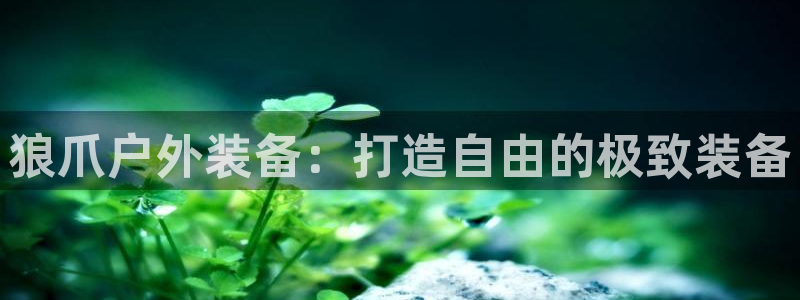 新宝GG网址新宝2