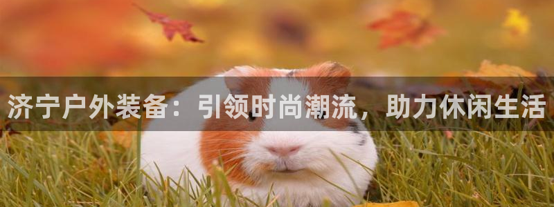 新宝奇迹GG