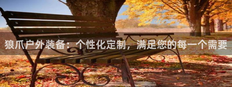 11新宝gg