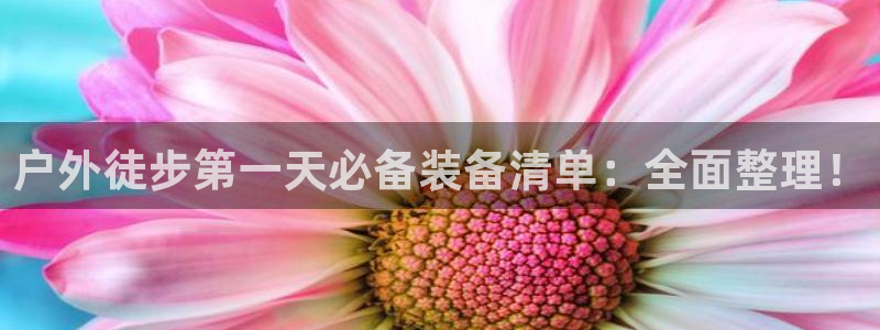 新宝gg直属