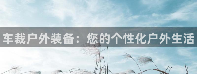 新宝gg有规律么