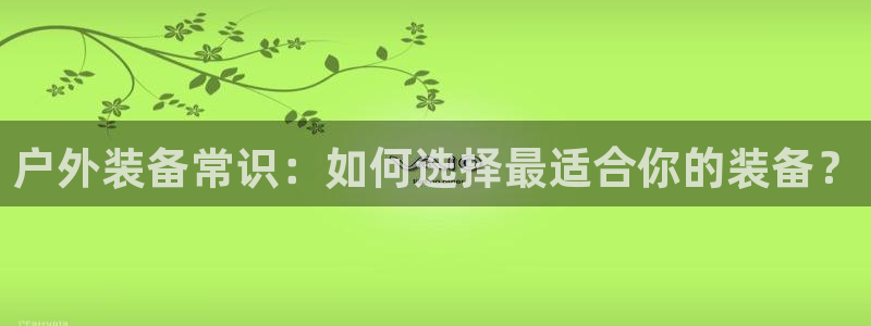 新宝gg平台登录