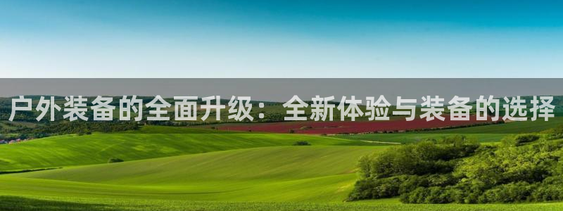 新宝gg 主管