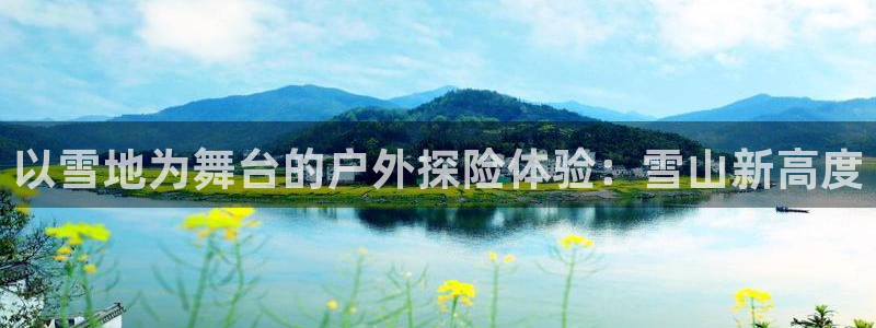新宝gg真的