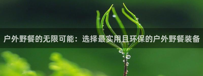 新宝gg试玩