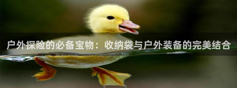 新宝gg娱乐首页