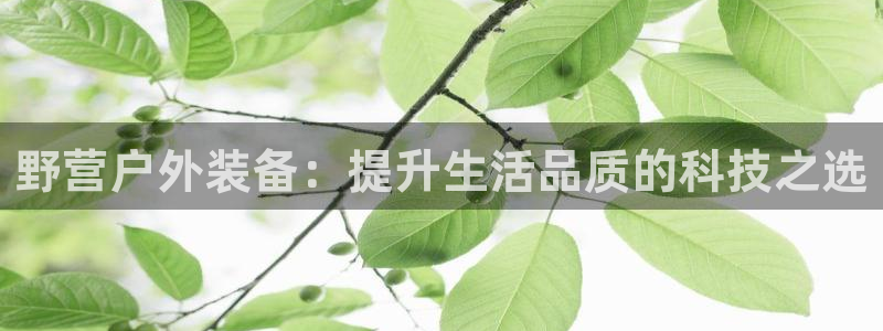新宝GG 黑钱