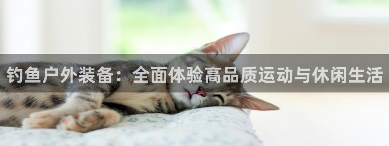 广东新宝电器gg