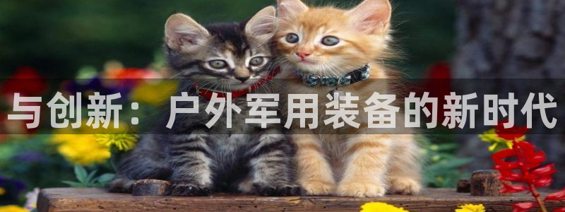 新宝GG挂机
