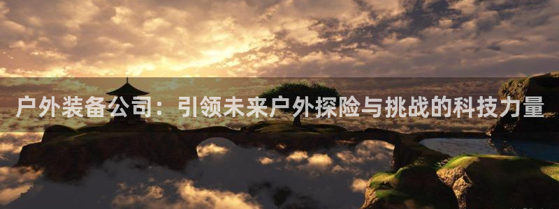 新宝集团gg