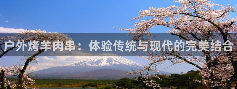新宝gg 内部 8