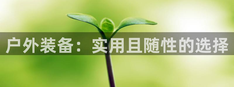 新宝gg计划