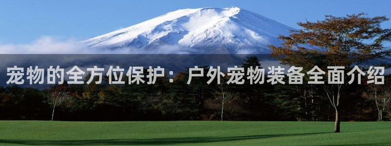 下载新宝gg怎么下载