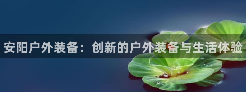 新宝GG手机客户端