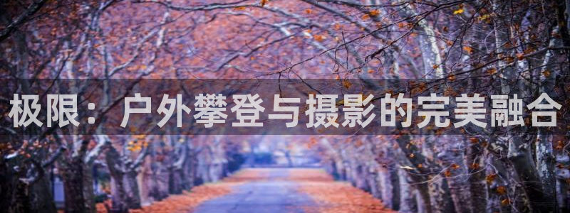 新宝 gg最新