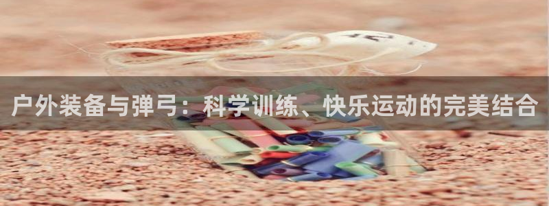 c新宝GG