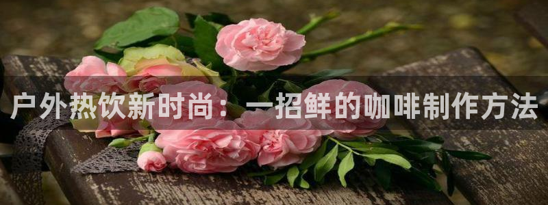新宝 gg 下载