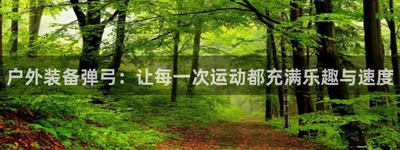 新宝gg登陆平台