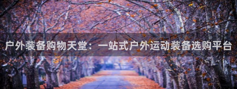 新gg宝